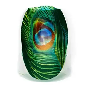 MODGY Pea Luminary Lanterns 4-Pack-Floating LED Candles w/Batteries Included - Luminaries are Great, Parties, Patios & Celebrations of All Kinds