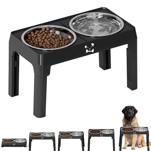 犬 食器台 ステンレス」の人気商品一覧 | 安い商品を通販サイトから