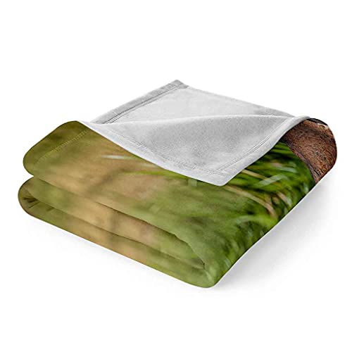 Couverture sofa 3d pour canapé lit et déplacements motif rivière - 6