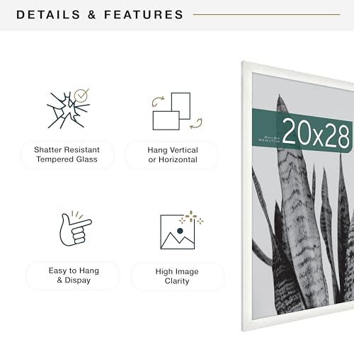 MCS Studio Gallery 20x28 Poster Frame Natural Woodgrain, Vertical & Horizontal Wall Hanging Large Picture Frame for Photos, Posters & Art Prints (2-Pack)