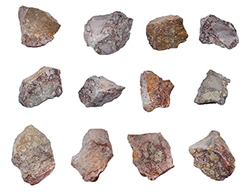 Image of EISCO 12PK Raw Breccia, Sedimentary Rock Specimens - Approx. 1 inch - Geologist Selected & Hand Processed - Great for Science Classrooms - Class Pack