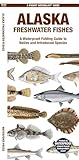 Alaska Freshwater Fishes (Nature Observation North America)