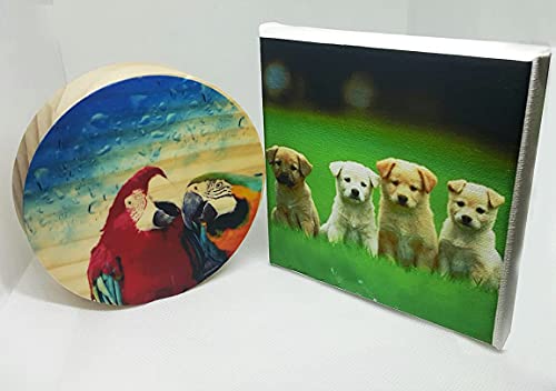 [Incal] Dry Rub-Off Decal Film For Inkjet Printer : 5 Sets, A4(8.27 Inch X11.7 Inch) - Premium Printable Dry Rub On Transfer; Diy Hobby Craft, Customized Transfer #TOP4