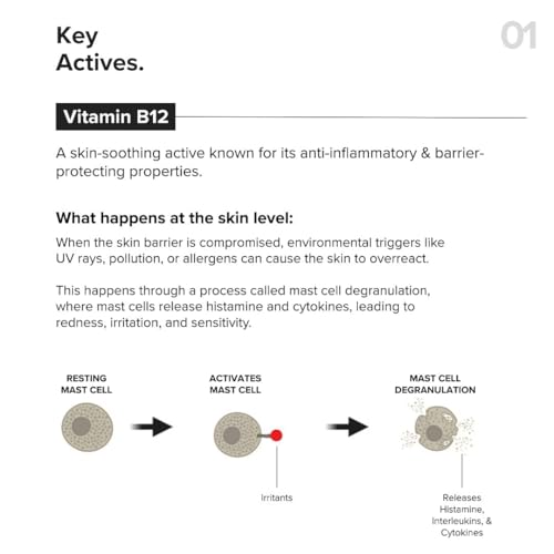 Image of Minimalist Barrier Repair Face Moisturizer with Vitamin B12 Complex 5.5% with Ceramides for All Skin Types | Strengthens Skin Barrier, Boosts Hydration, Soothing, Lightweight Gel Texture | 10 gm