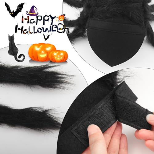 Xbessc Halloween Spinnen Kostüm Haustier, Filz Hundekostüm Spinnenkostüm, Katzen Urlaub Dekoration, Halloween Plüsch Spinne Kostüme für Kleine Bis Mittelgroße Hunde und Katzen Verstellbar Schwarz