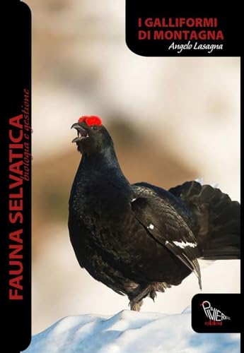 Galliformi di montagn