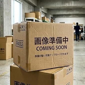 Rinnai RHS21W28P12TGAVR-LP ���C�g�O���[ SAFULL [�r���g�C���K�X�R���� (�v���p���K�X�p�E�E���ΉE��60cm)]