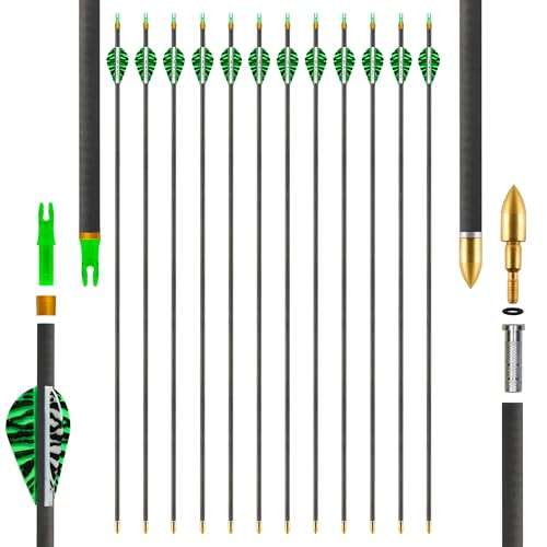 SERfawnCH Lot de 12 Flèches Carbone pour Chasse & Cible - 80cm, Pointes Amovibles pour Arc Composite/Recourbé