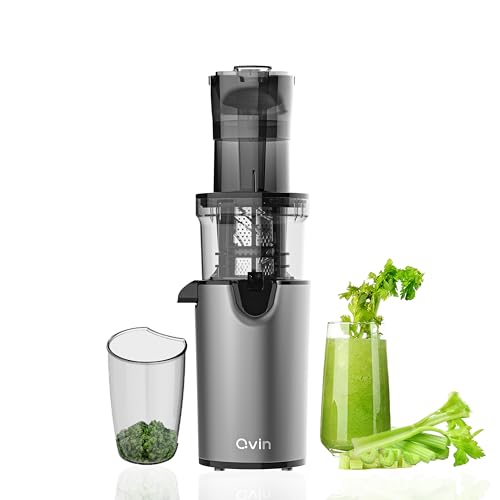 Image of Qvin Compact Slow Masticating Juicer machines 3inch Large Feed Chute, Easy to Clean, BPA Free, 200W Nutritional electrical Cold Press Juicer machine vegetable and fruit,Deluxe Silver-gray