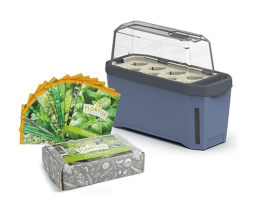 FLORTUS Anzuchtset Kräutersamen mit Kräutertopf Harry Herbs blau | Gewächshaus mit Bewässerungssystem & 12 Sorten Kräuter | Geschenkset Mitgebsel