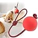 YQYCE 5 PCS Ball mit Schnur Hund, Wurfball für Hunde, Hundespielzeug mit Bällen am Seil, Hundebälle am Seil mit strapazierfähigen, elastischen Bällen, interaktives Hundespielzeug zum Apportieren