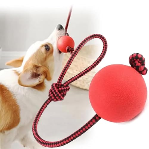 YQYCE 5 PCS Ball mit Schnur Hund, Wurfball für Hunde, Hundespielzeug mit Bällen am Seil, Hundebälle am Seil mit strapazierfähigen, elastischen Bällen, interaktives Hundespielzeug zum Apportieren