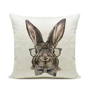 Hlonon easter decorations throw pillow cover set of 2 farmhouse decorative pillows rabbits home decor rustic for spring easter 18 x 18 in  urban country home decor