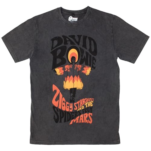 David Bowie Ziggy Stardust Limited Edition 999 Only Premium Wash T Shirt Size M