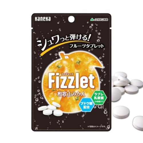 JlJHi FizzletitBYbgja̎R݂ 24g×10 l e a̎RB݂ʏ`gp W tbV ^ubg t[c^ubg