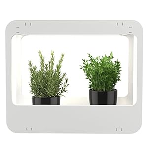 Romberg Homegarden LED Zimmergewächshaus Weiß