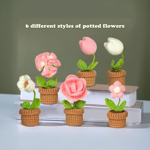 مجموعة كروشيه للمبتدئين من دوماما: مجموعة من 6 قطع مع خيوط وتعليمات سهلة ودروس فيديو للصناعات اليدوية