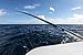 TIGRESS XD 3K Carbon Fiber TELESCOPING Center Outrigger, Outrigger for Use on Sport Fishing Boats Up to 40 Feet