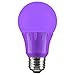 Sunlite 80132-SU Led A19 Standard A Type Light Bulb, 1 Pack, Purple