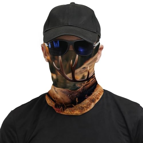 Neck Gaiter Wild Animals Face Mask for Travel Face Cover Scarf for Men Women Elastic Headbands Wind-proof Bandana for Skiing Fishing Hiking Cycling3