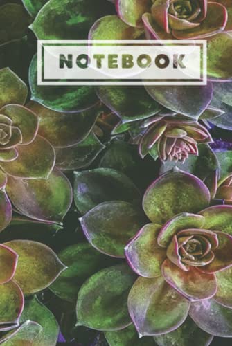 Carnet de composition succulentes jaune vif pour noter vos idées au bureau et à la maison