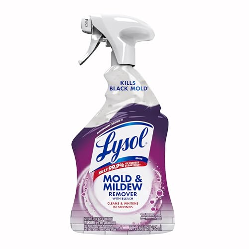 Lysol Mold & Mildew Remover