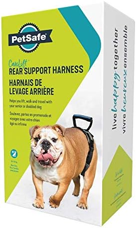 PetSafe CareLift Rear Support Harness - Lifting Aid with Handle - Great for Pet Mobility and Older Dogs - Comfortable, Breathable Material - Easy to Adjust - Medium, Carelift