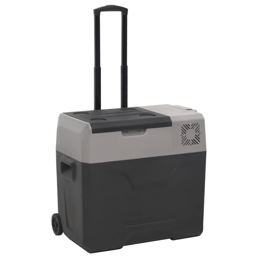 Home Hardware - Nevera portátil con ruedas y asa (polipropileno, 40 L), color negro y gris