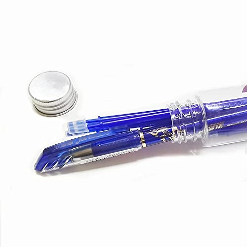 Confezione da 12 penne a sfera cancellabili con inchiostro gel, con punta da 0,5 mm, regalo per migliore amico (blu