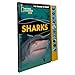 National Geographic Kids - Sharks - I'm Ready to Read Interactive Read-Along Sound Book - Great for Early Readers and Animal Lovers - PI Kids