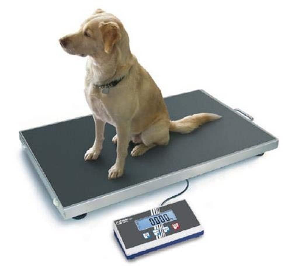 KERN Plattformwaage EOS 300K100XL (Wägebereich max. 300 kg, Ablesbarkeit 100 g, Reproduzierbarkeit 100 g, Linearität 200 g, Tierwaage, Veterinärwaage, extra große Wägeplatte)