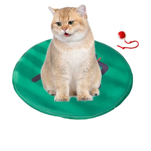 Jouet interactif pour chats balle automatique jeu de chasse et stimulation
