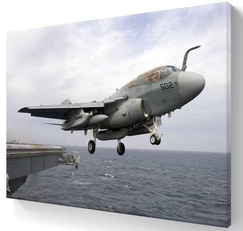 Danhonart EA-6B Electronic Jammer Airplane Poster Canvas Prints for Air Force Picture Aviation Art Military Aircraft Wall Decor - 14x21 Inches
