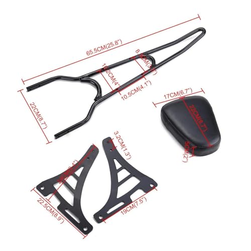 Sissy bar pour Harley Sportster XL883C et XL1200R dossier de passager moto 2004-2020
