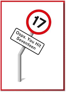 Oops. You Hit Seventeen. Funny Road sign 17th Birthday Card