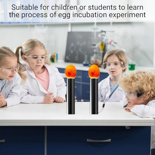 Schierlampe für Hühnereier,2 Stück Schierlampe Ei Candler Zucht Ei Fruchtbarkeitsprüfer,Zur Überwachung der Eierentwicklung,Schierlampe Bruteier Hühnereier,für Hühner Enten Vögel Eier