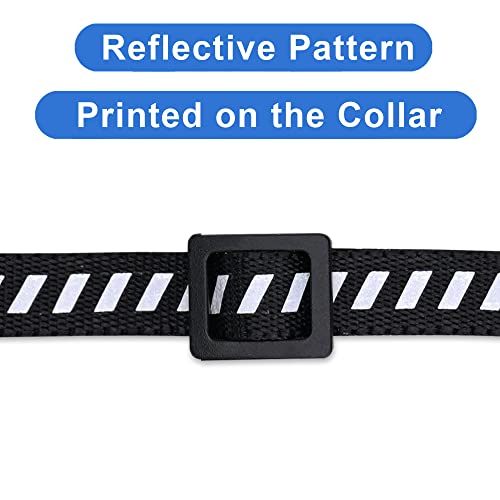 Image of Pawtitas Personalized Cat Collar With Breakaway Safety Release Buckle Adjustable Length | Cat Collar With Custom Embroidered For Your Pet's Name And Phone Number | Black Cat Collar With Removable Bell