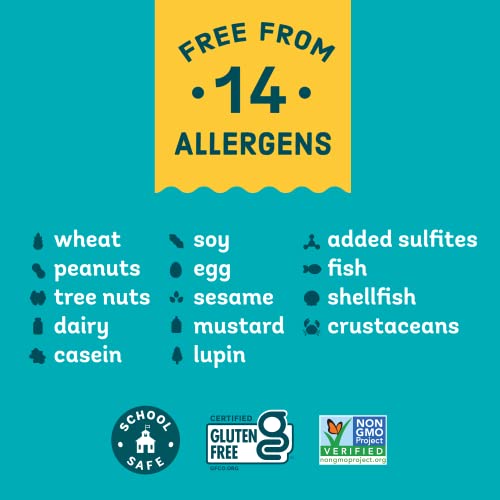 Enjoy Life Chocolate Bars, Soy Free, Nut Free, Gluten Free, Dairy Free, Non Gmo, Vegan, Ricemilk, 2 Boxes Of 12 Bars (24 Total Bars) #TOP6