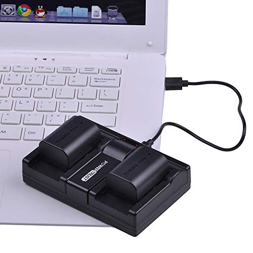 Powertrust 2-Pack Bn-Vg114 Battery And Dual Fast Charger For Jvc Bn-Vg107 Bn-Vg107U Bn-Vg107Us Bn-Vg114U Bn-Vg114Us Bn-Vg121 Bn-Vg121U Bn-Vg121Us Battery And Jvc Everio Camera #TOP6