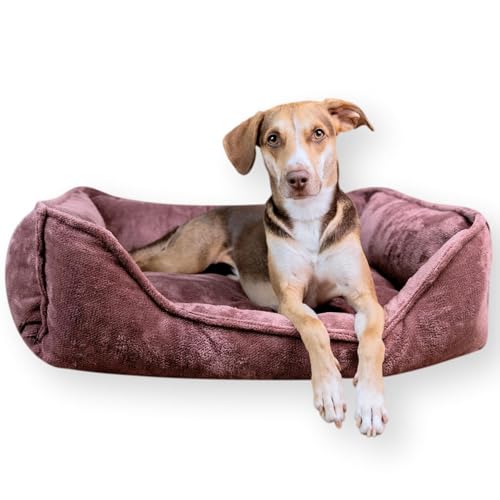 4L Textil IRIS Orthopädisches Hundebett Premium-LINE Hundekorb orthopädisch Kuscheliges Hundebett mit Bezug Memory Foam(80x60 cm, Grape Mauve)