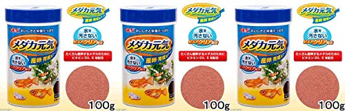 WFbNX _JCYE琬pt[h 100