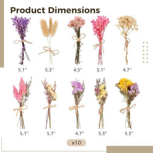 10 ramos mini de flores secas naturales para decoración miniatura 6