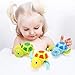 Happy Trees 6 Pcs Bath Turtle Toy, Wind-Up Swimming Turtles, Bathtub Turtle Water Toy for Baby Toddler