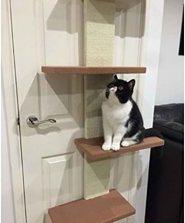 cat climber door