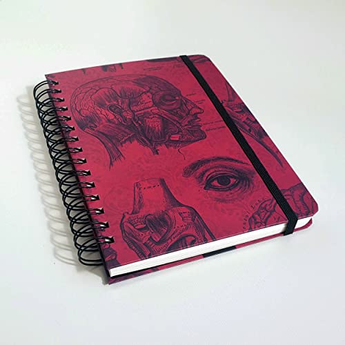 Sketckbook para Desenho 21x15 cm Espiral 240g 100 páginas (Anatomia)