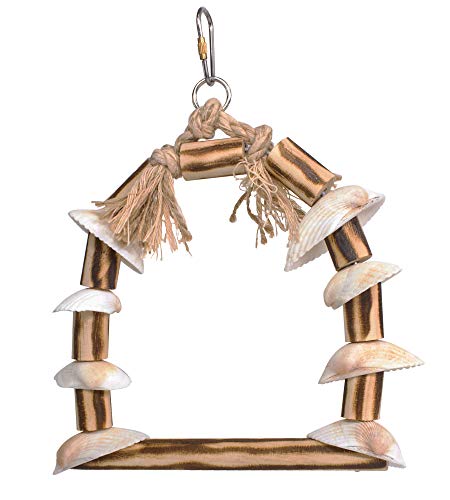 Penn-Plax Bird Life Wood & Shells Swing – Made From Natural & Safe Materials – Great For Small Birds (Parakeets/Budgies, Parrotlets, Cockatiels, Canaries, & Finches) #TOP9