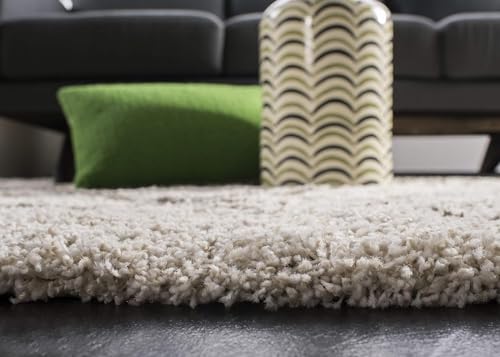 Image of imsid Present Carpet for Room, Shaggy Rugs Fluffy Carpets, Indoor Modern Plush Area Rugs for Living Room Bedroom Kids Room, ETC Pattern 10, Size 2 x 6 FT