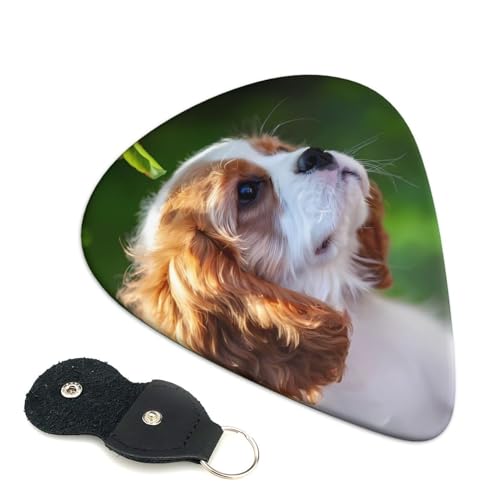 vX`bNsbN 킢GLM^[sbN XpjG Absf GNgbN AR[XeBbN y lwysbN 6pbN 0.71mm