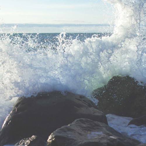 Ytohvelgk The Narrative & Kindle Hub copertina