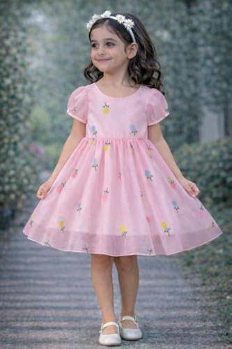 Image of Buy & Try Beautiful Embroidered Flower Dress for Baby Girls, Georgette Fabric, Puff Sleeve, Printed Outfit, Perfect Birthday Dress